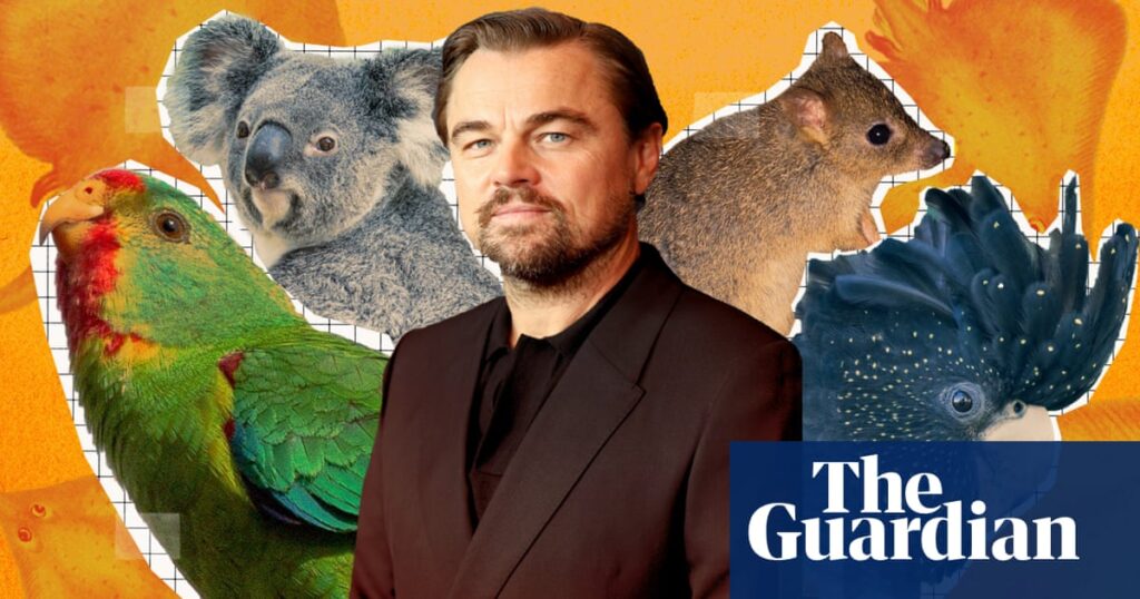 Why does Leonardo DiCaprio care so much about Australian wildlife? | Environmental activism
