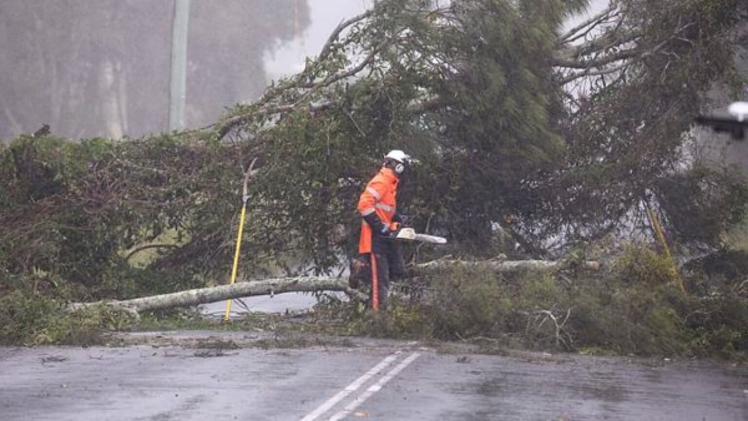 Cyclone Alfred Live Location and Status Tracker, Australia Brisbane Cyclone Latest News Cyclone Alfred Live Tracker LIVE Updates