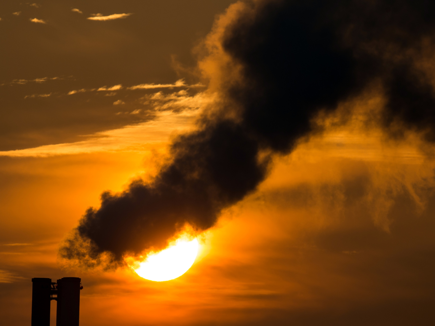 237 Swiss companies with CO2 reduction targets