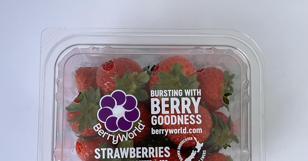 BerryWorld strawberries win gold at New Zealand’s Outstanding Food Producers Awards | Article