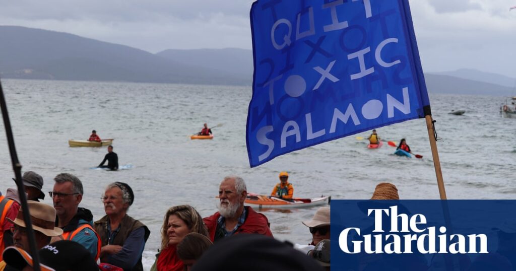 ‘Apoplectic’ environment groups halt Coalition attack ads to take aim at Albanese over species’ ‘death warrant’ | Environment