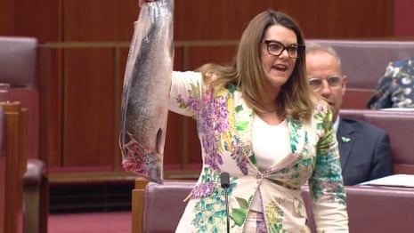 Wrapped in plastic: Sarah Hanson-Young waves a dead salmon in Senate – video