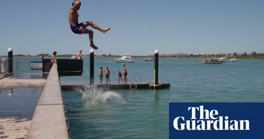 Popping a manu: New Zealand searches for dive-bombing champion - video | New Zealand
