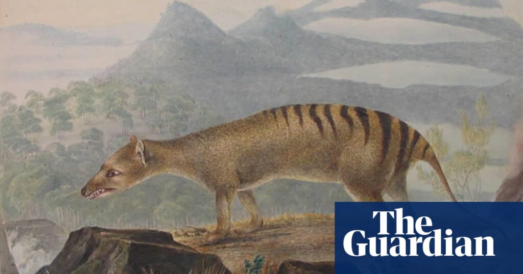 Can we recreate a lost world? In Tasmania, anything could happen | Environment