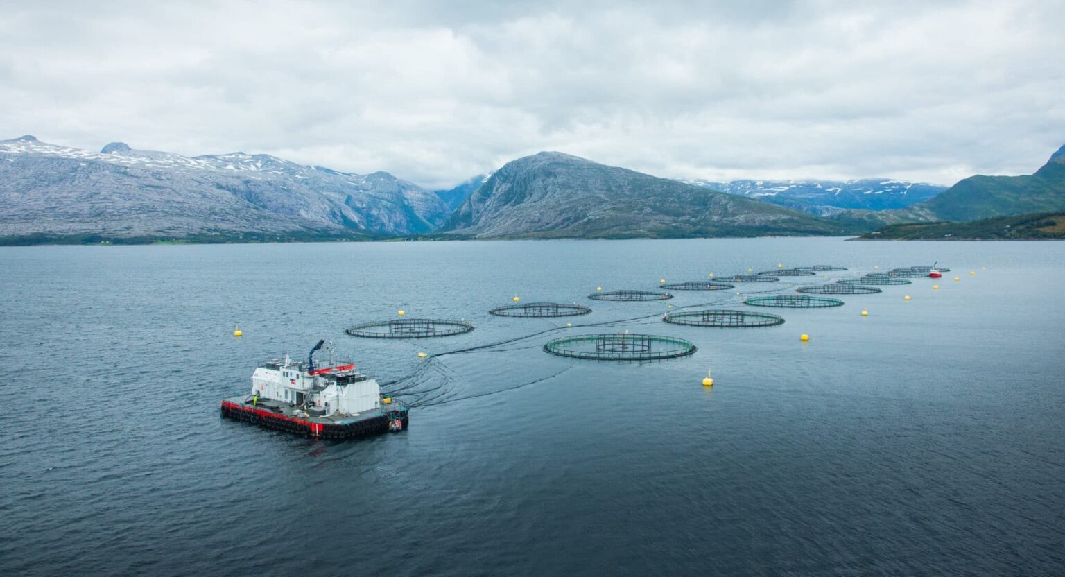 Still no word from Norway gov't on additional charge for ASC
