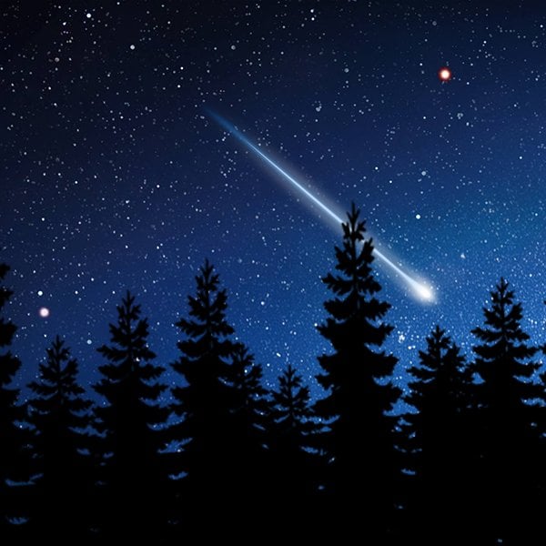 Fireball over Northern California was space debris from 2024 SpaceX mission says American Meteor Society
