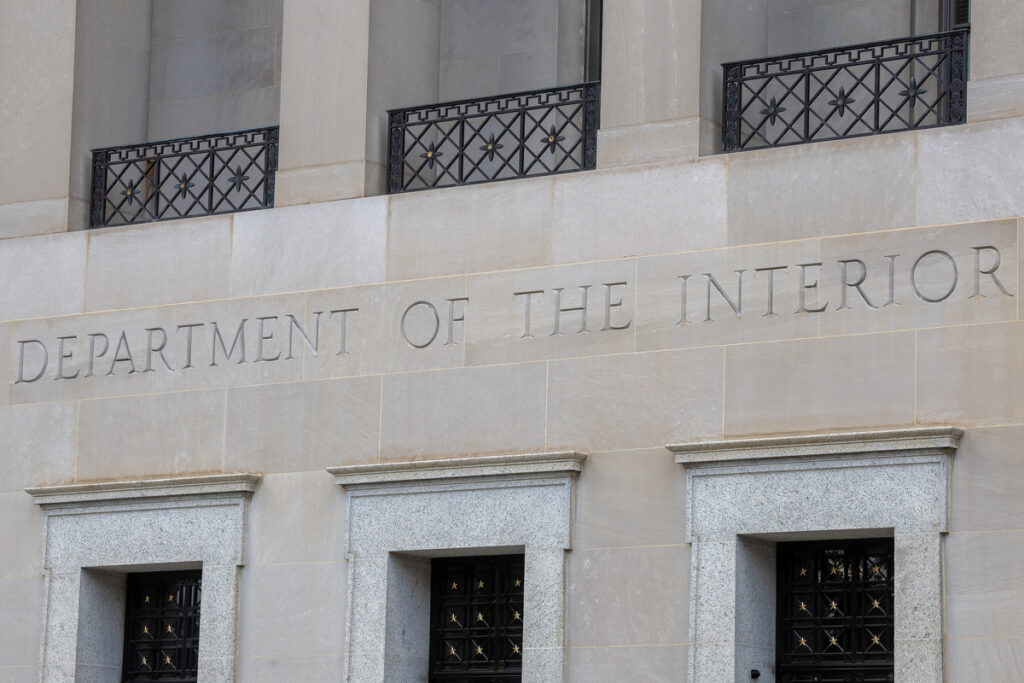 Critical minerals consultant named to Interior energy post