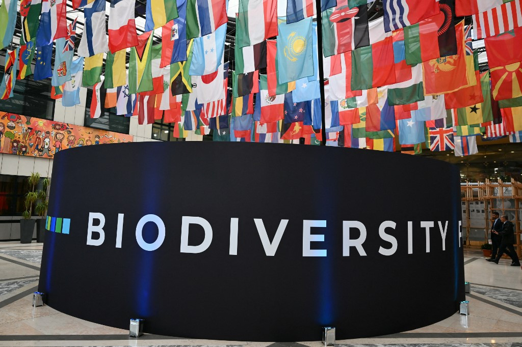 UN nature talks unlock $200 billion deal for conservation
