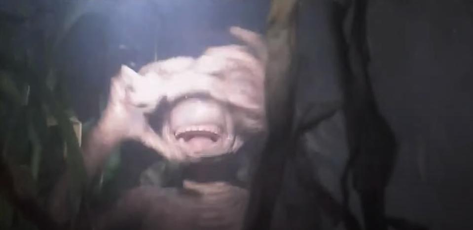 Creature with prominent teeth and large eyes, set in a shadowy environment, playfully covers face with hands