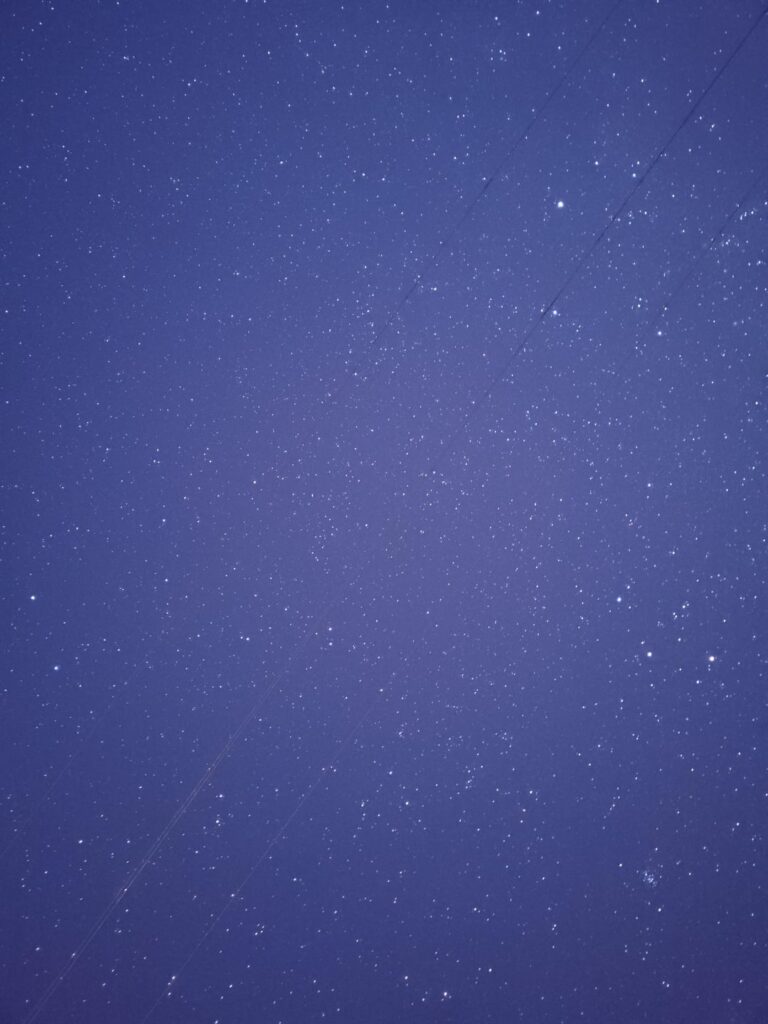 Some photos I took on my phone.
