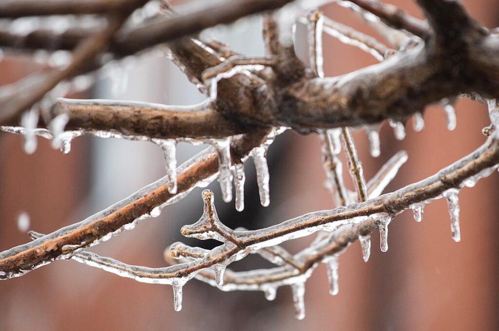 'Several hours' of freezing rain to hit Quebec, says Environment Canada