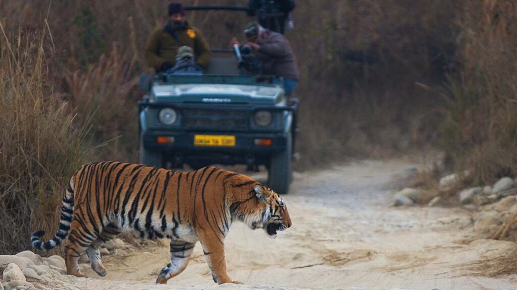 The Jim Corbett National Park 