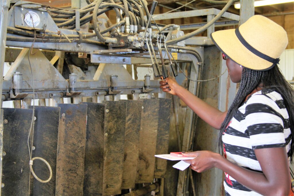 Environmental and occupational health