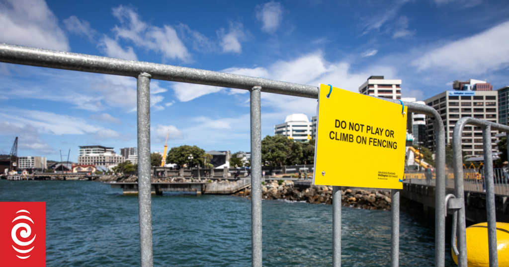 'They can't protect people from themselves' - Safety and scenery in the balance for waterfront security