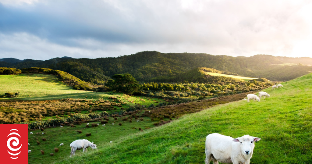 Landscape architects worried RMA replacement could jeopardise NZ's unique 'everyday' scenery