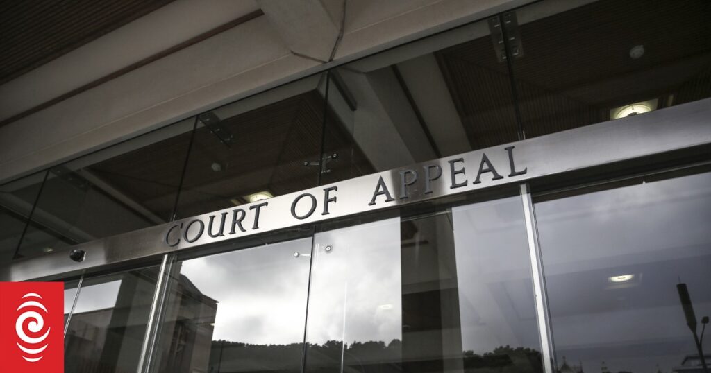 Convicted US money launderer loses Court of Appeal case over NZ millions