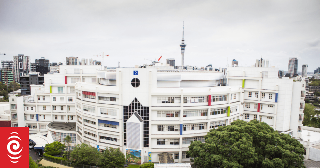 Health New Zealand under fire for inaccurate palliative care recruitment claims