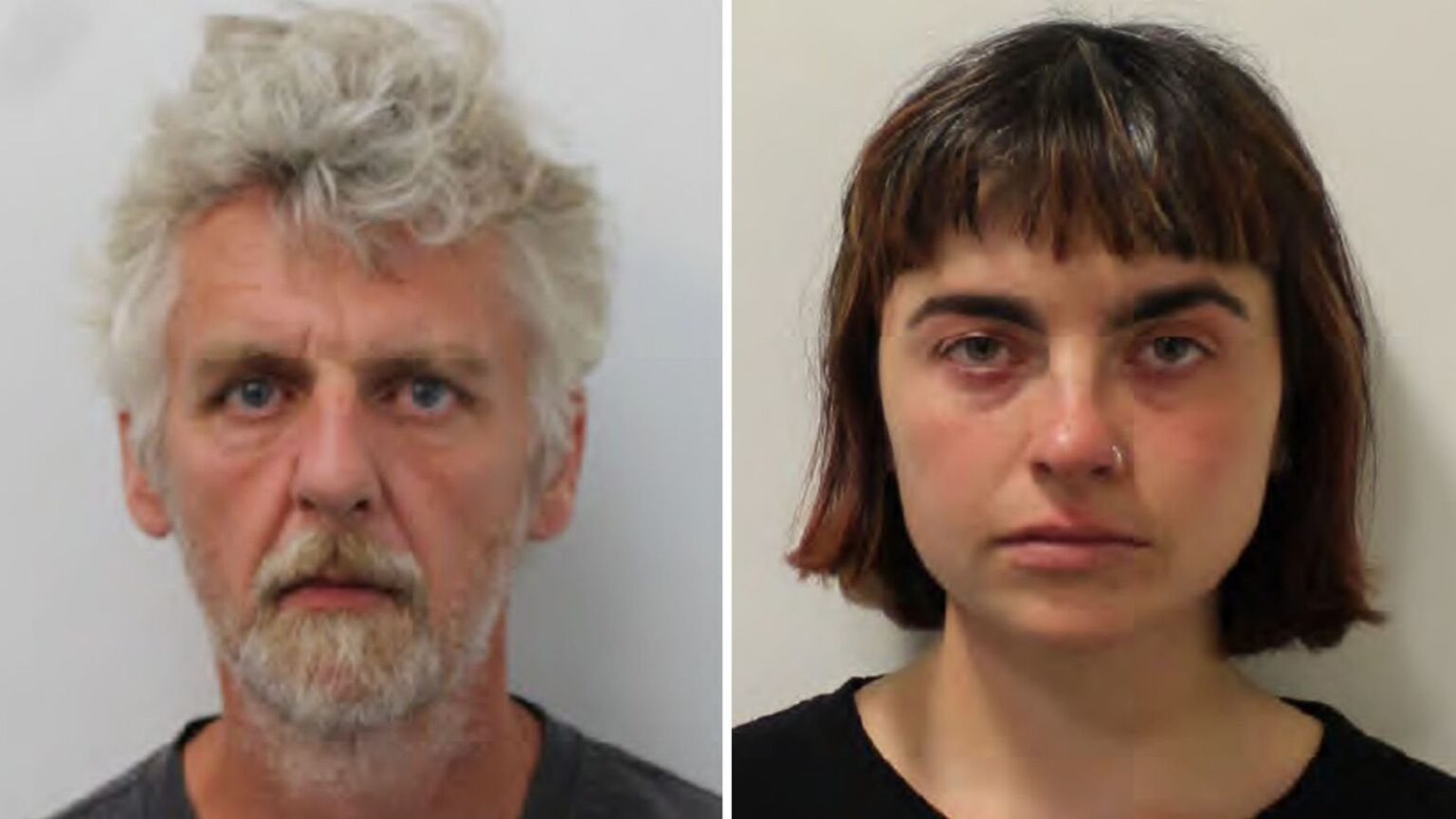 Nine Just Stop Oil protesters convicted after planning to glue themselves to Heathrow airport.
