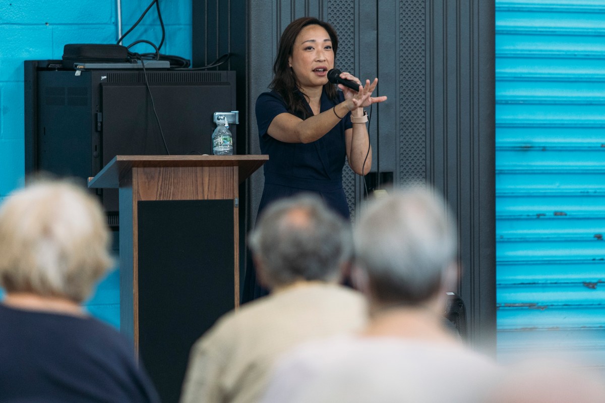 City Council member Linda Lee criticizes Mayor Adams' mental health policy