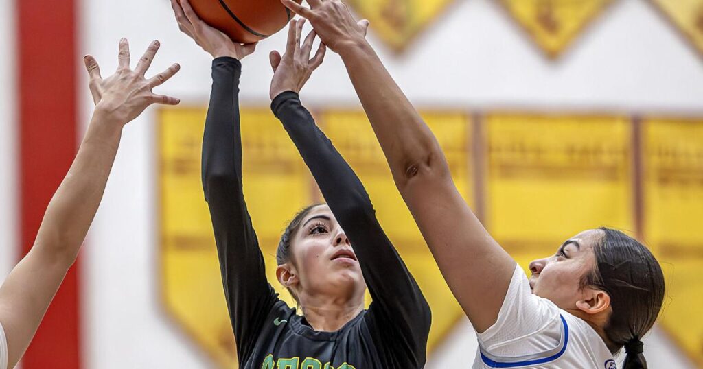 Panthers hope to learn from past state quarterfinal stumbles | Sports