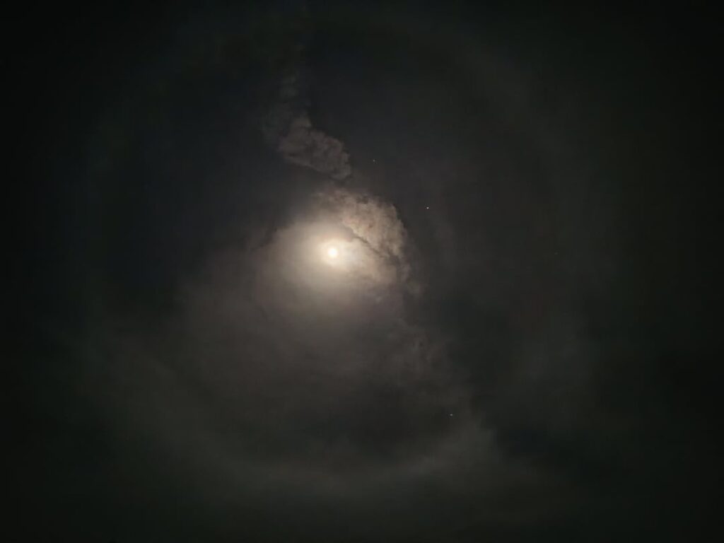 I've never seen this in my life, what is it?