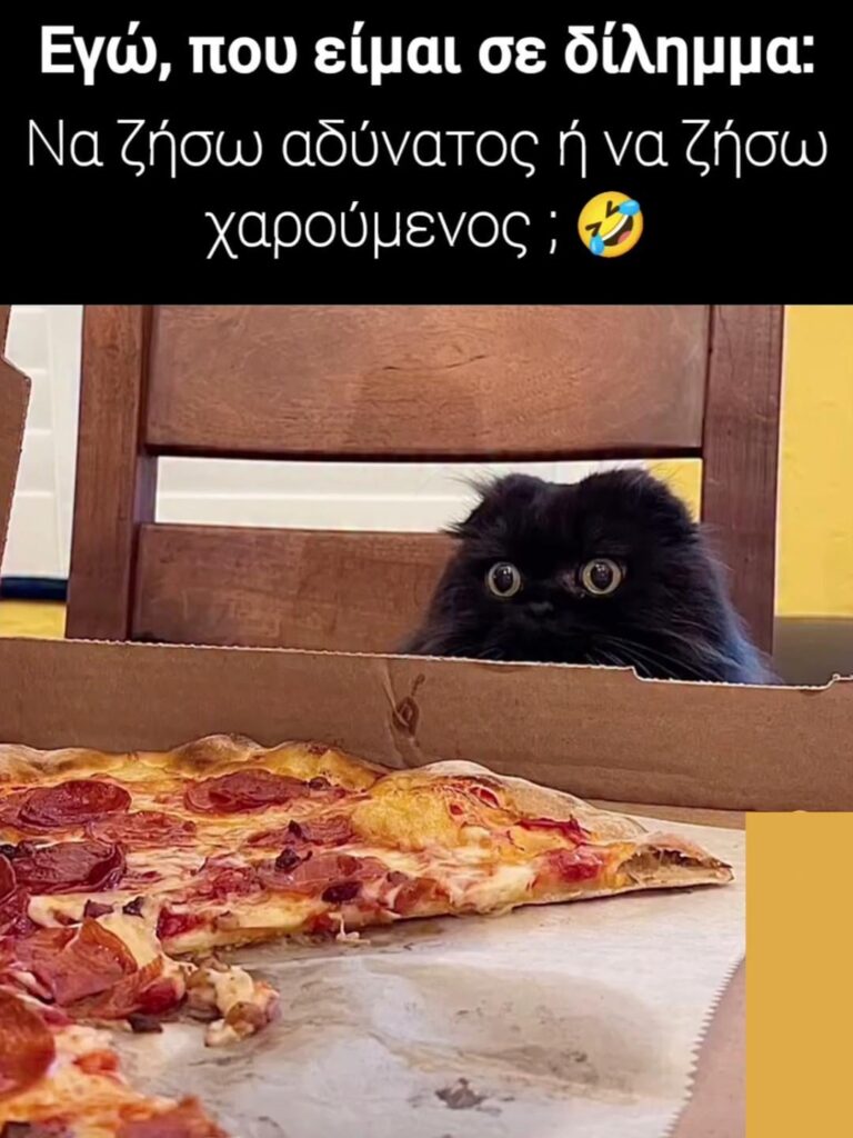 I choose the second.