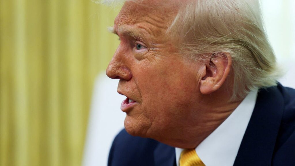 Donald Trump, Elon Musk join debate over daylight saving time Donald Trump, Elon Musk join debate over daylight saving time