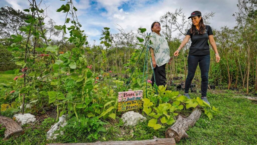 Florida village’s compost program helps Miccosukee Tribe grow gardens