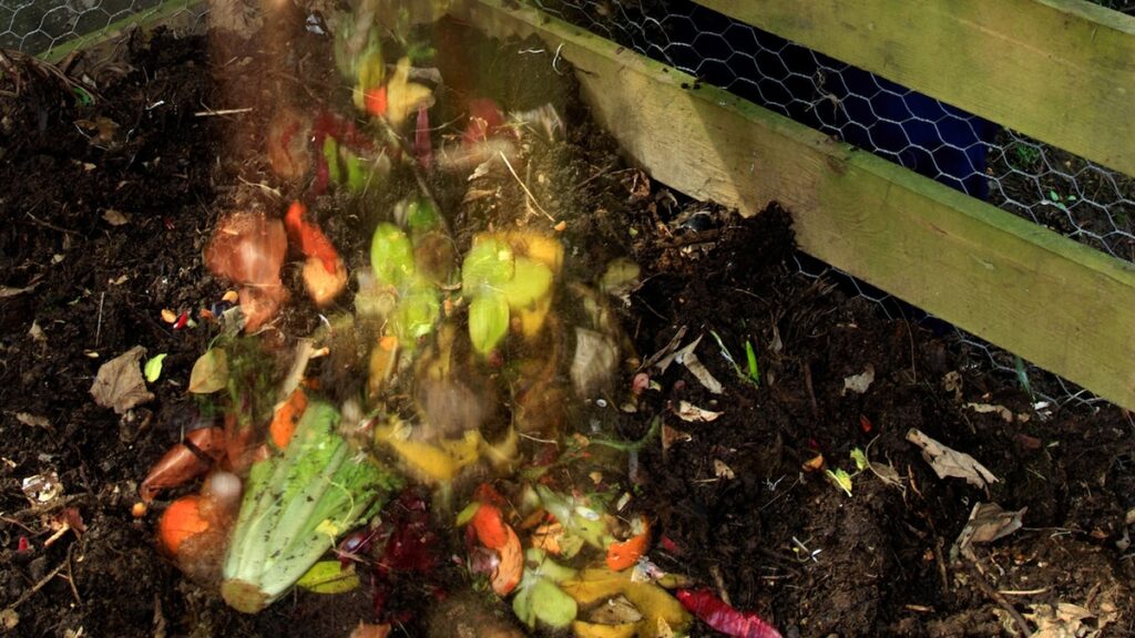 How to compost in your apartment, without the smell