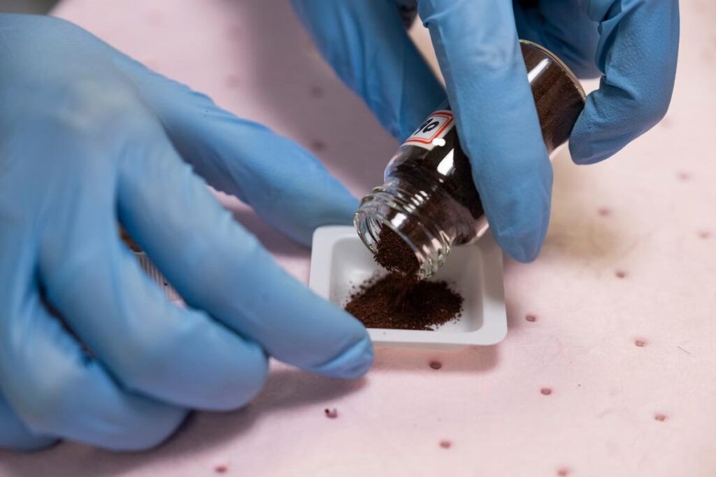 Scientists Convert Sewage Sludge Into Green Hydrogen and Nutritious Protein