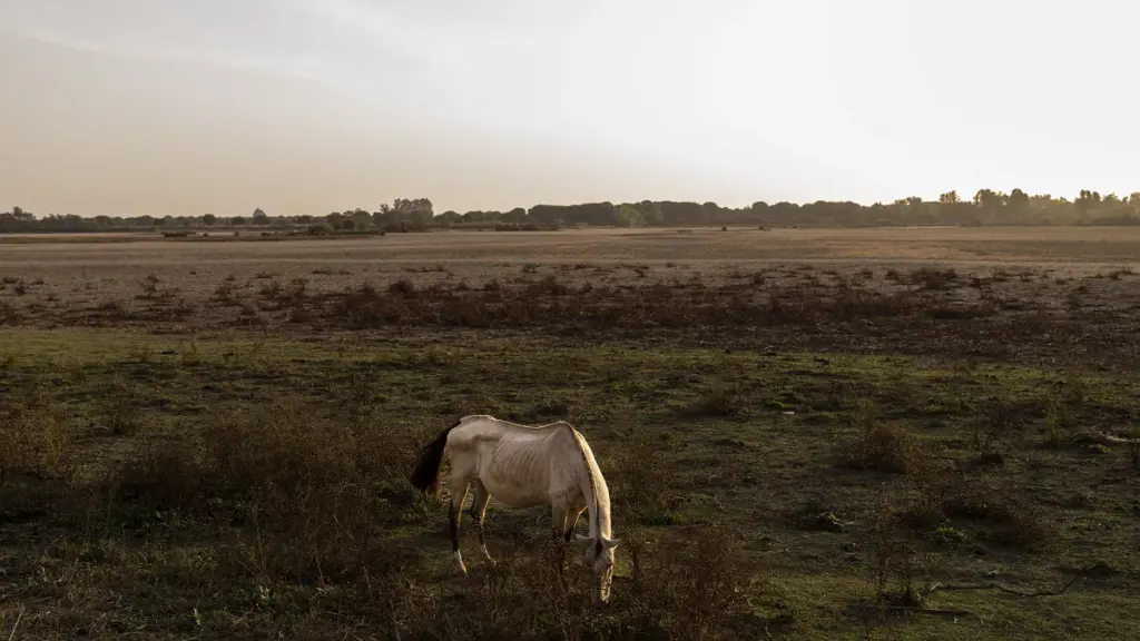 Climate Change to Bring Harsher Droughts to Spain, Study Warns