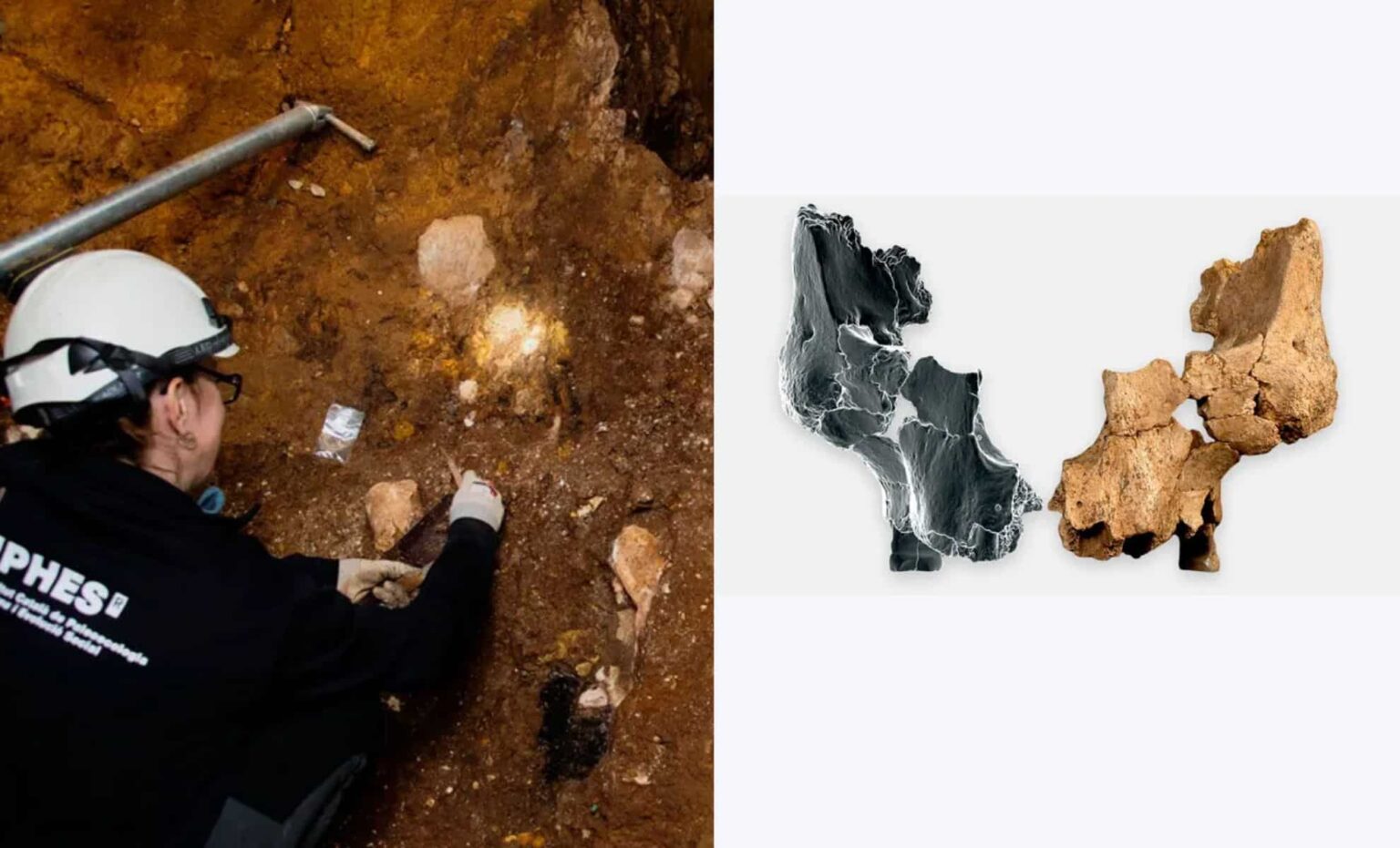 Discovery of 1.4 Million-Year-Old Skull in Spain Reveals Europe’s Earliest Human Face Discovery Of 1.4 Million Year Old Skull In Spain Reveals Europe’s Earliest Human Face