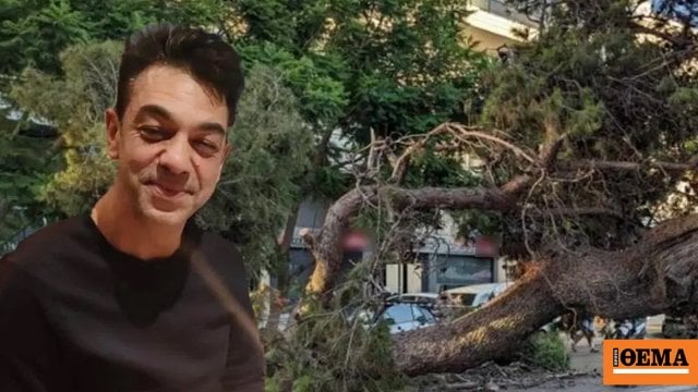 385,000 compensation to the family of 50 -year -old Panagiotis who was struck by pine in Heraklion
