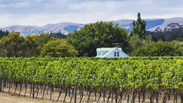 A first-time guide to Wairarapa, New Zealand
