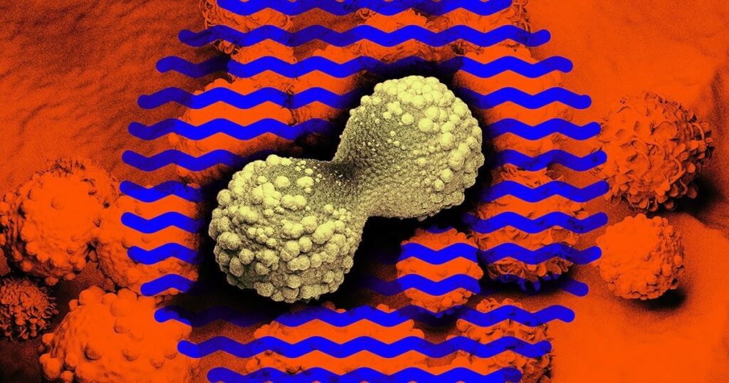 Cancer Vaccines Are Suddenly Looking Extremely Promising