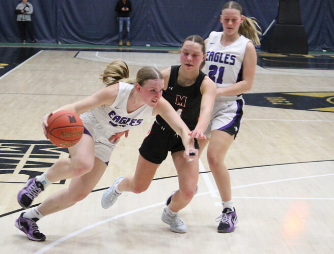 Eagles fall to Tigers in 2AAA title game | News, Sports, Jobs