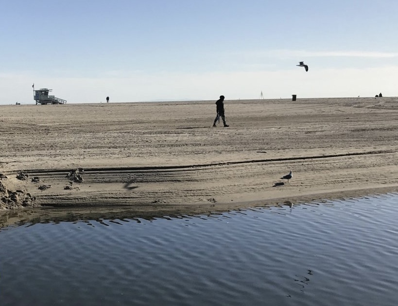 Volunteer Beach Cleanup at Dockweiler to Address Environmental Recovery
