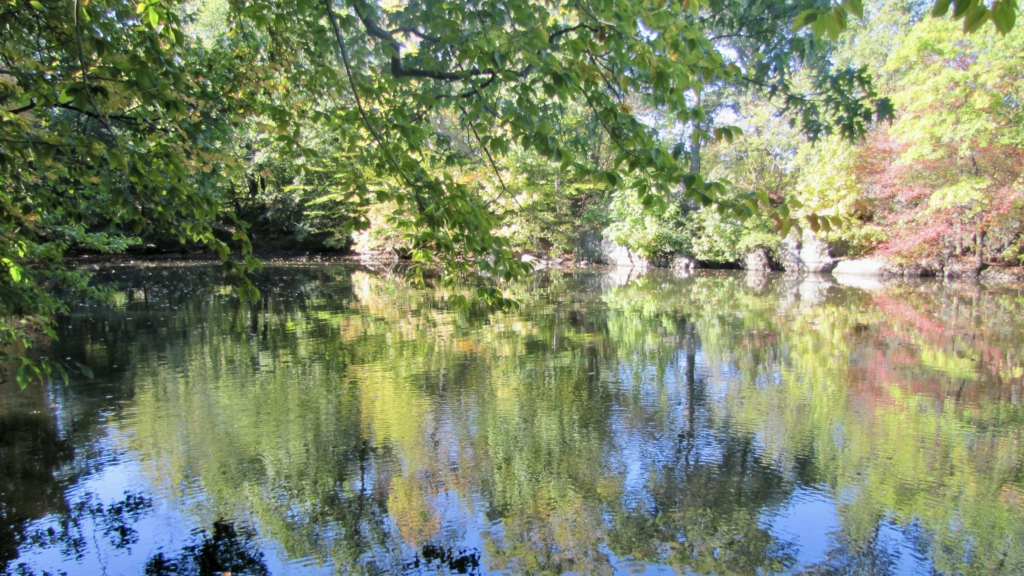 City of New Rochelle Secures Record-Breaking Environmental Grants from NYS DEC