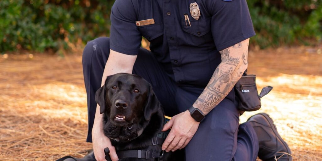 Wilmington Fire Department adds Crisis Response Facility Dog Milo to mental health program