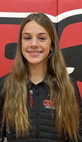 Link keeps busy for Red Devils | News, Sports, Jobs