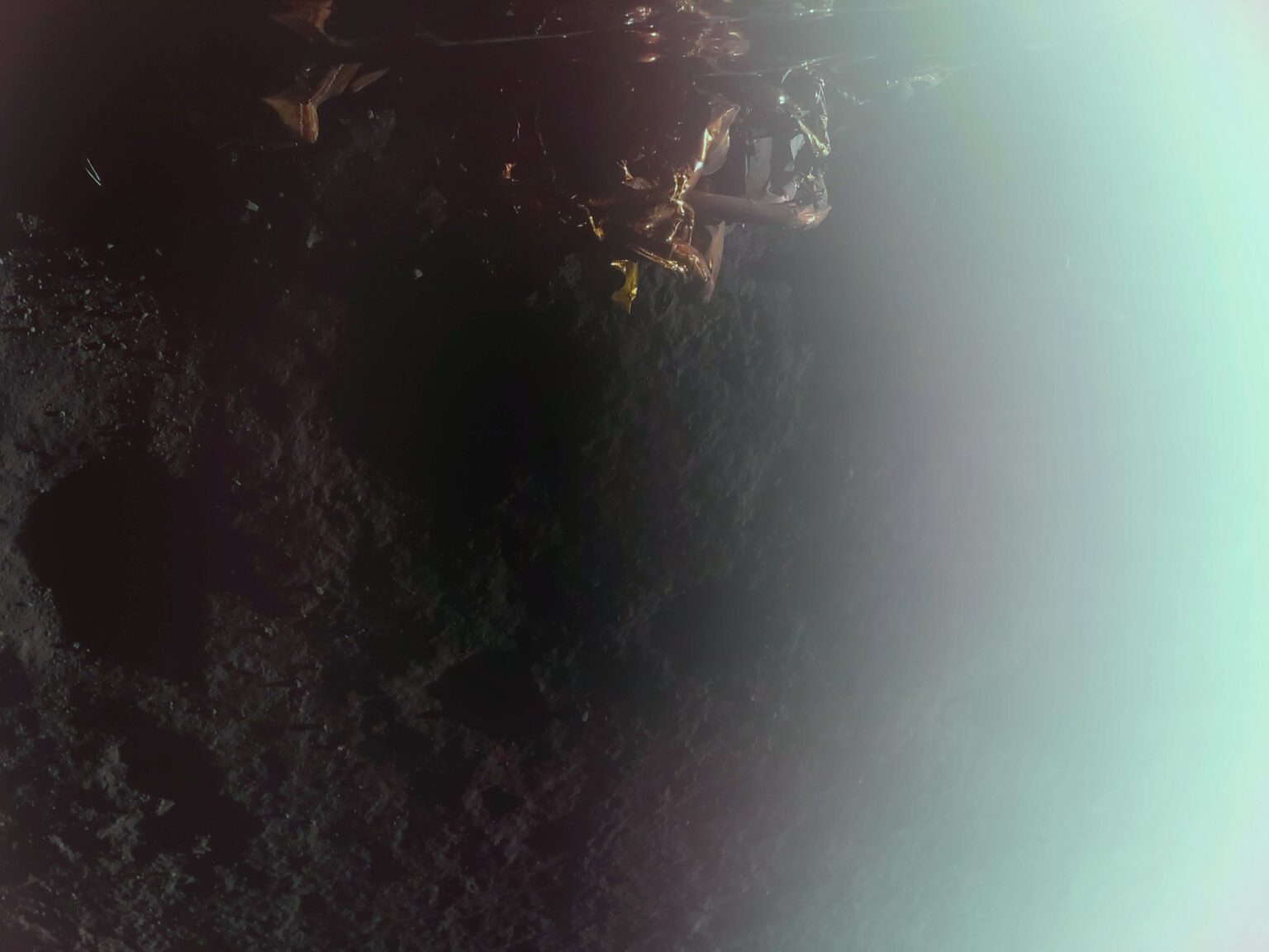 Touchdown! Carrying NASA Science, Firefly’s Blue Ghost Lands on Moon - NASA