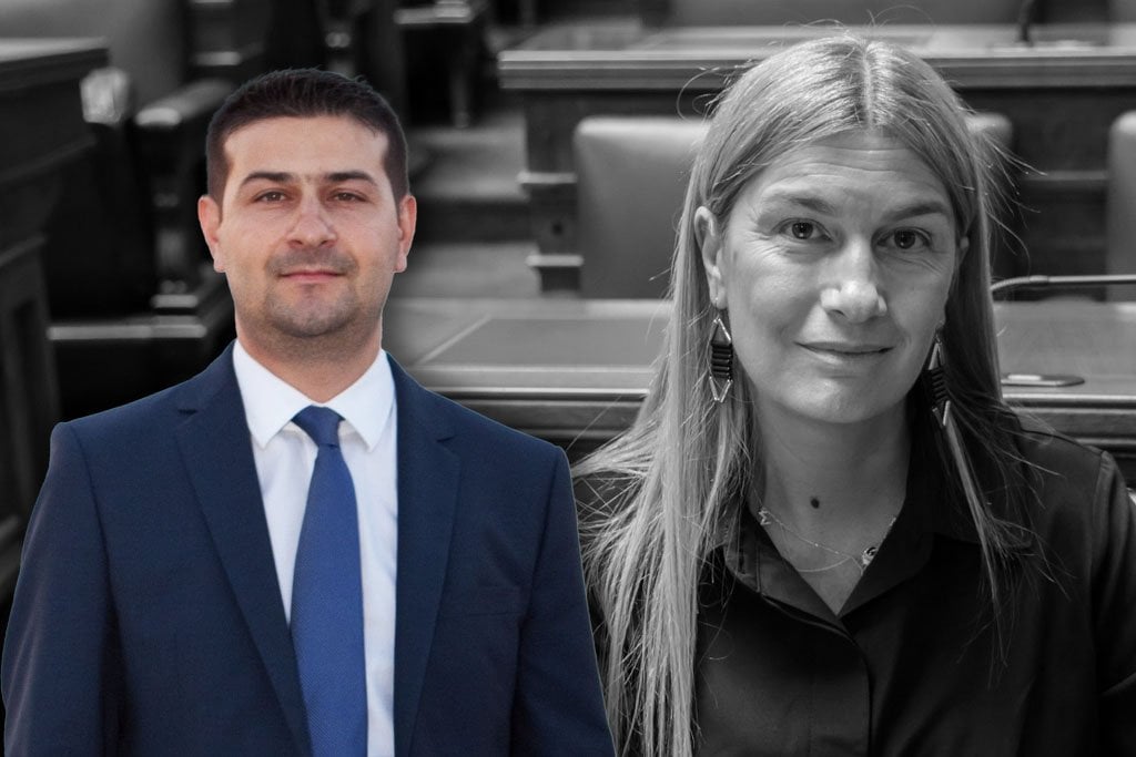 Brother of New Deputy Minister of Foreign Affairs for the Crime in Tempi - He was released with a guarantee… stunned
