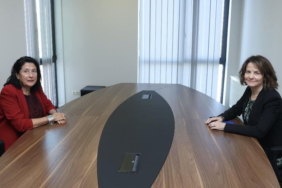 US Ambassador to Georgia meets Zourabichvili / OC Media