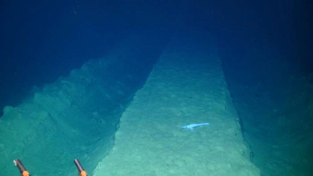 New research shows impact of seabed mining on environment