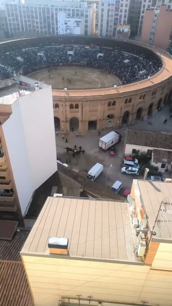 Footage that I took during “Corrida de toros”