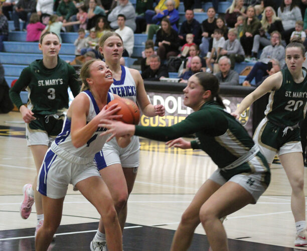 Mavs fall to Knights in section semifinals | News, Sports, Jobs