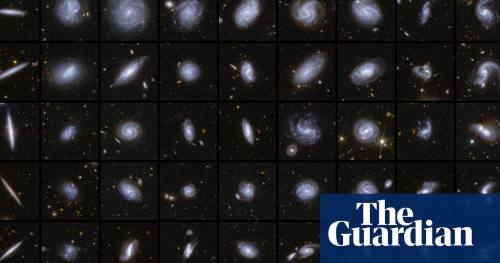 Scientists hail ‘avalanche of discoveries’ from Euclid space telescope | Data from European Space Agency’s mission has allowed researchers to create detailed catalogue of 380,000 galaxies