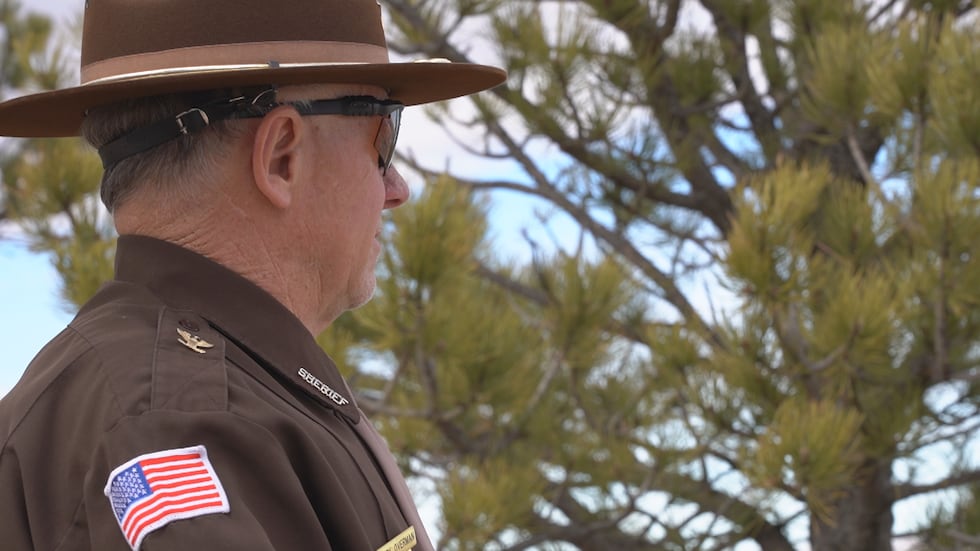 Sheriff Mark Overman