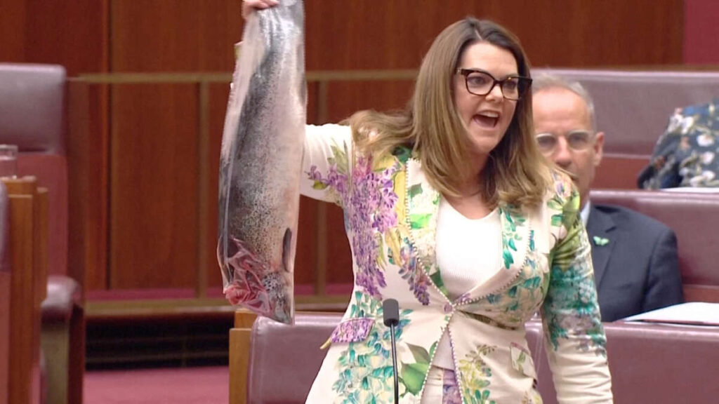 Greens senator waves dead salmon in protest over new environmental law
