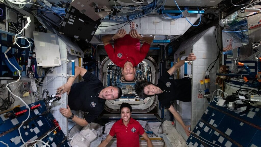 An small microbial ecosystem has formed on the International Space Station | The largest study yet of the ISS’s microbes hints we’re may be keeping it too clean. An small microbial ecosystem has formed on the International Space Station | The largest study yet of the ISS's microbes hints we’re may be keeping it too clean.